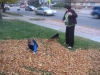 Raking all the leaves