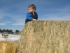 Climbing the hay bale pyramid