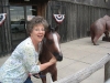 Mom loves horses!